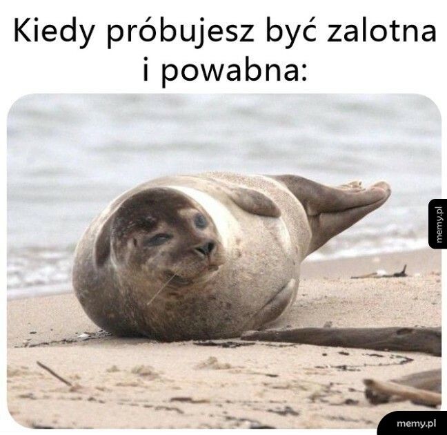 Prawie wyszło