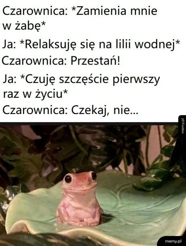 Zamiana w żabę