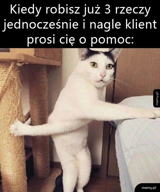 I co jeszcze?