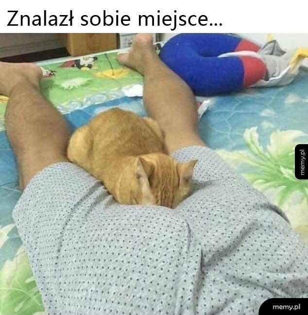 Ma problemy z węchem