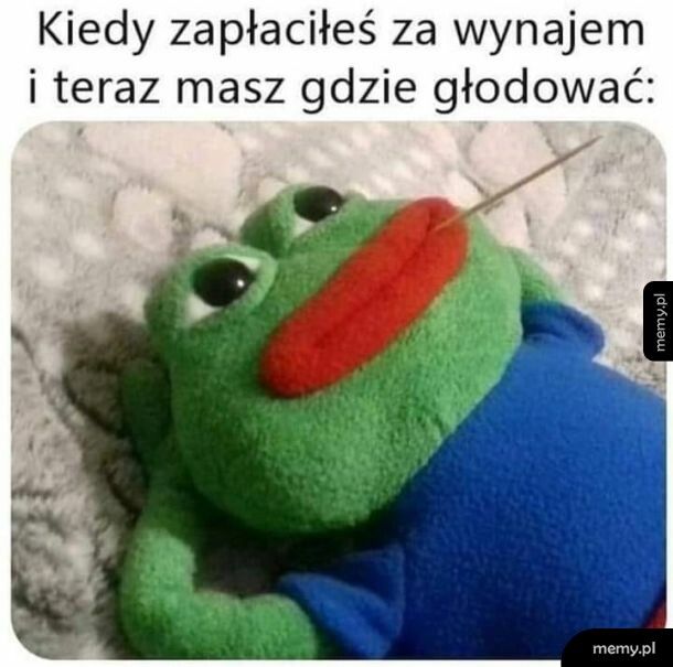 Studenckie czasy