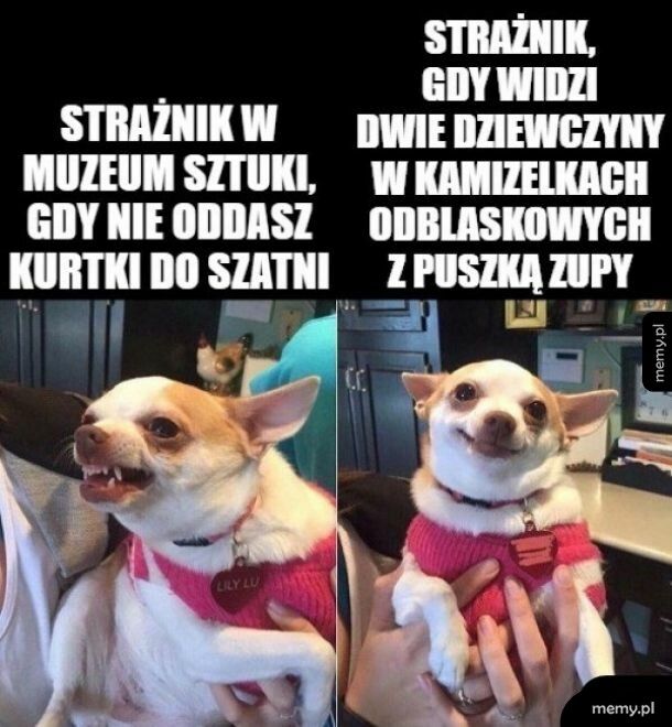 Wszystko gra