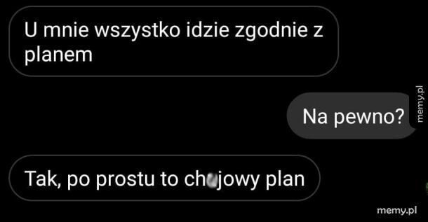 Wszystko zgodne z planem