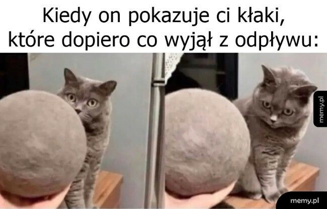 Włosy