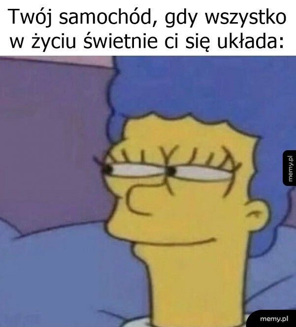 Już wyczuł skubany