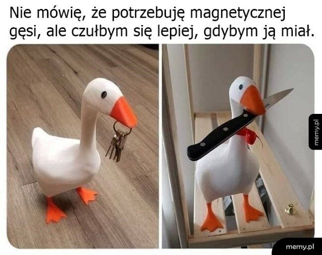 Magnetyczna gęś