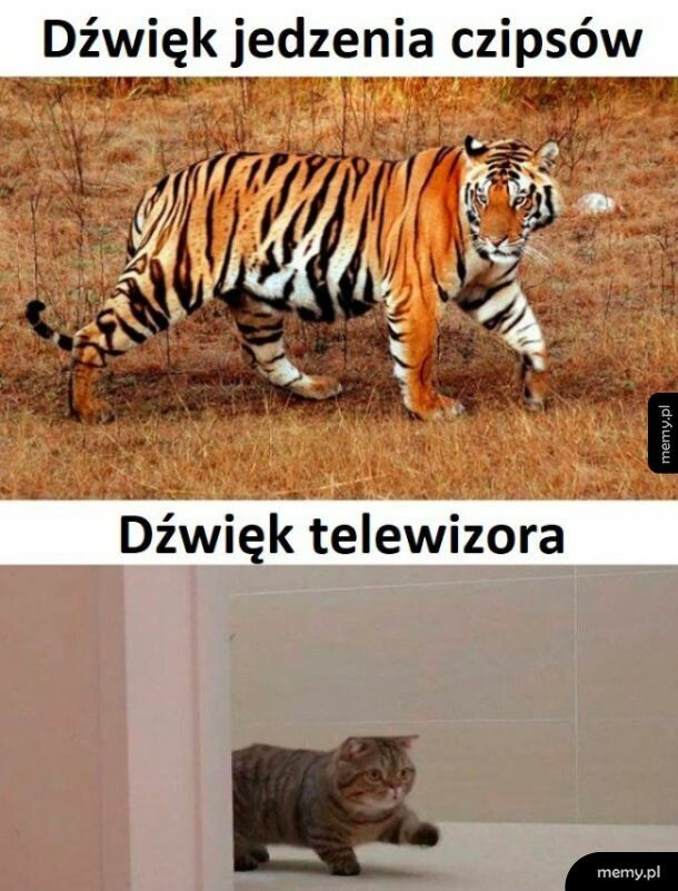 Jedzenie vs telewizor