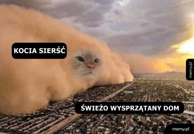 Było sobie czysto