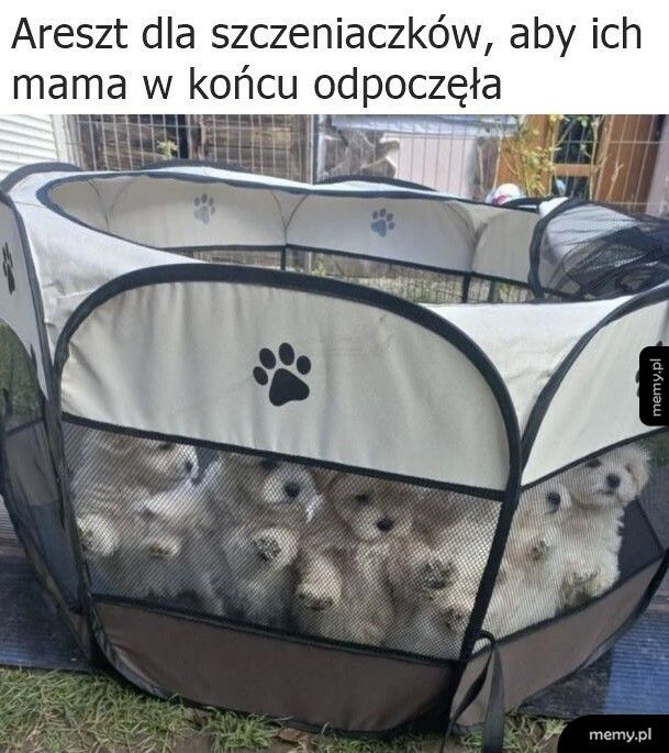 Chwila odpoczynku