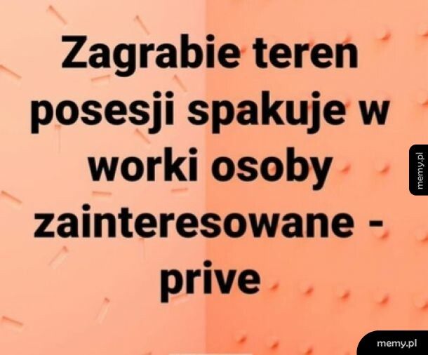 Brak przecinków i nie wiesz, czy ktoś oferuje pomoc w sprzątaniu podwórka, czy Morawiecki z żoną planują kolejne inwestycje