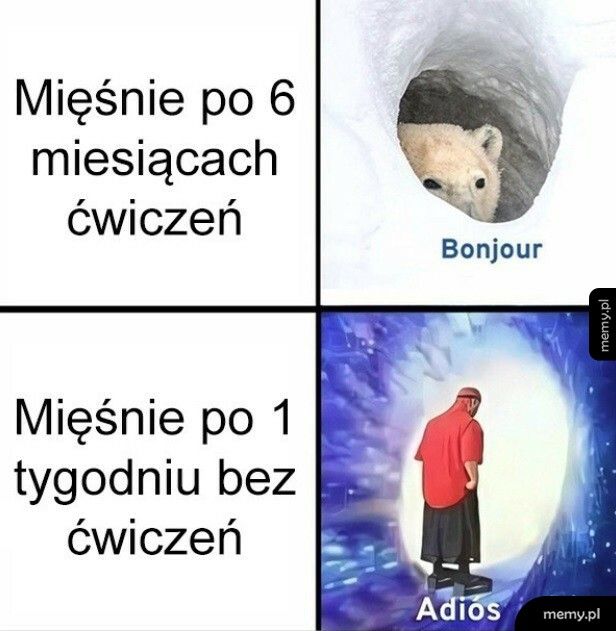 Mięśnie