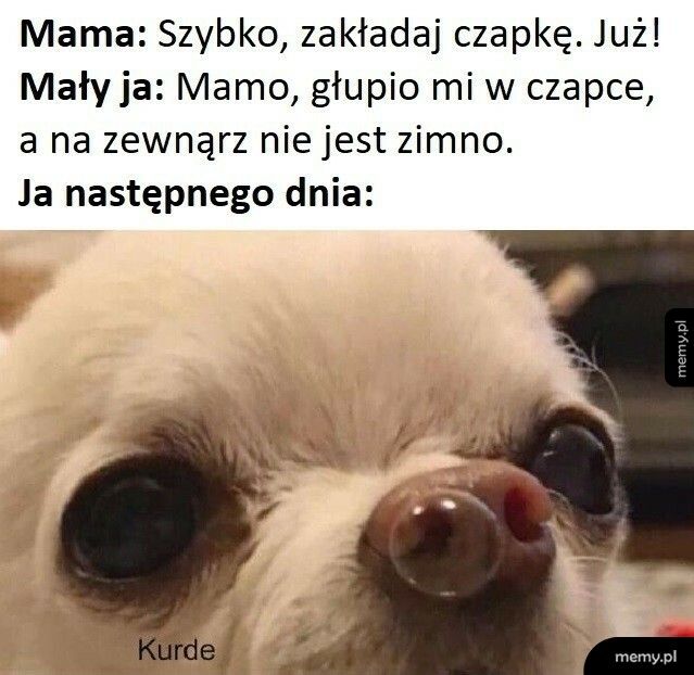 Było słuchać mamy