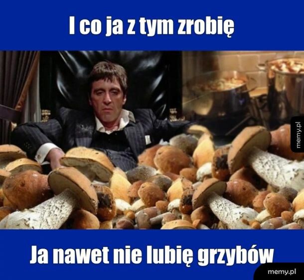 Grzybówbranie