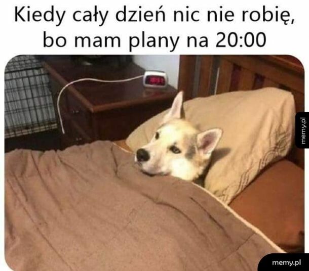 Jakoś nie można się zabrać