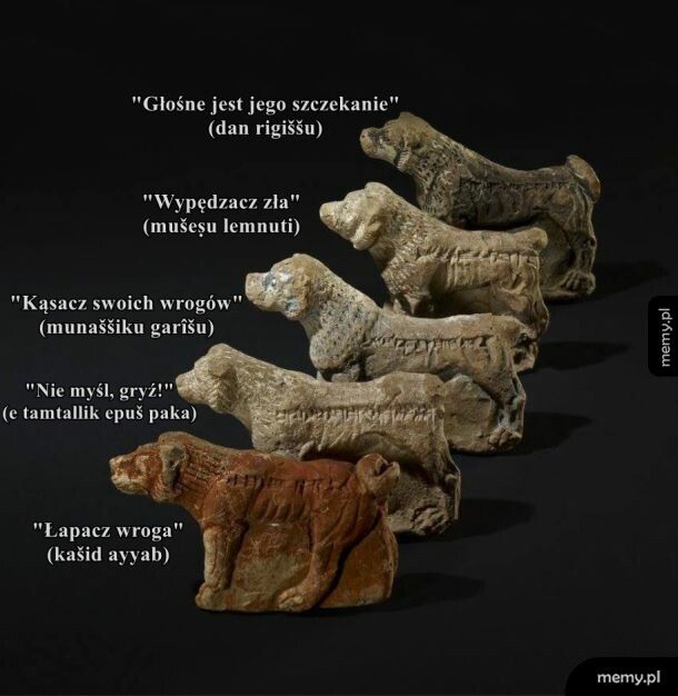 Asyryjskie gliniane figurki psów z wyrytymi imionami, datowane ok 650 r. p.n.e.
