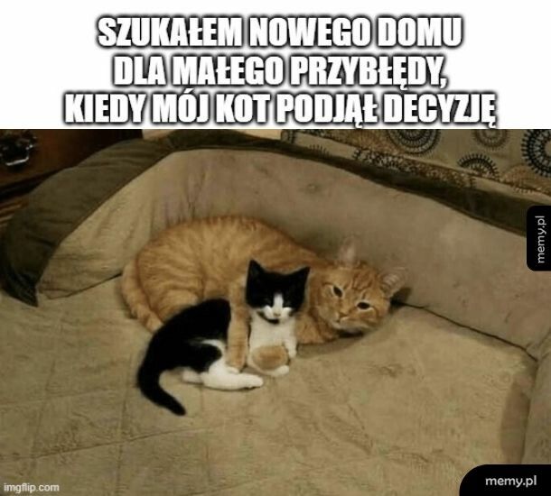 Zostaje u nas!