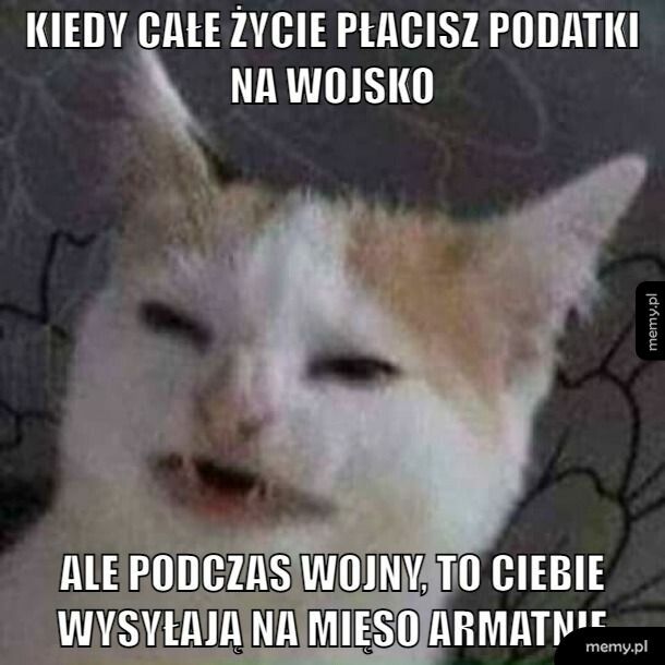 Takie życie przyjacielu