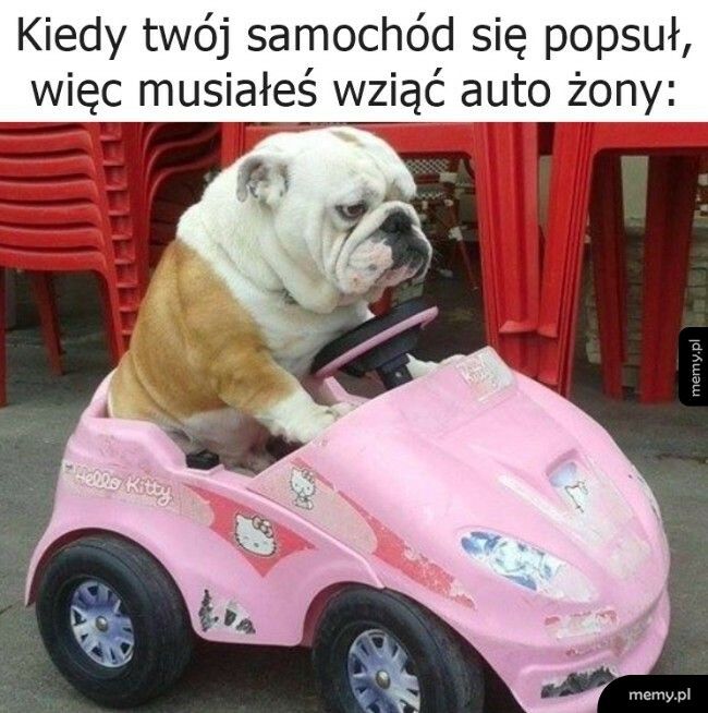 Auto zastępcze