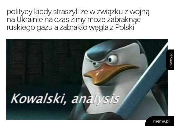 Polityczne