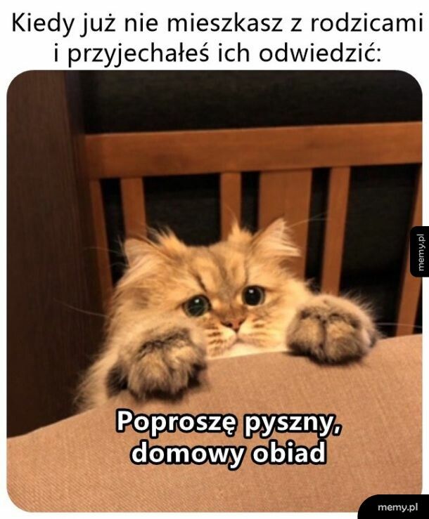 I darmowy. Poproszę!