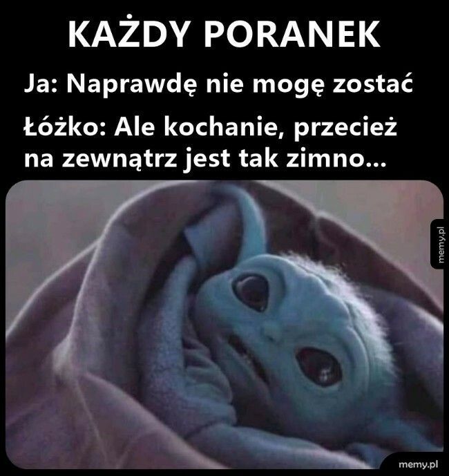 Nigdzie nie idziesz