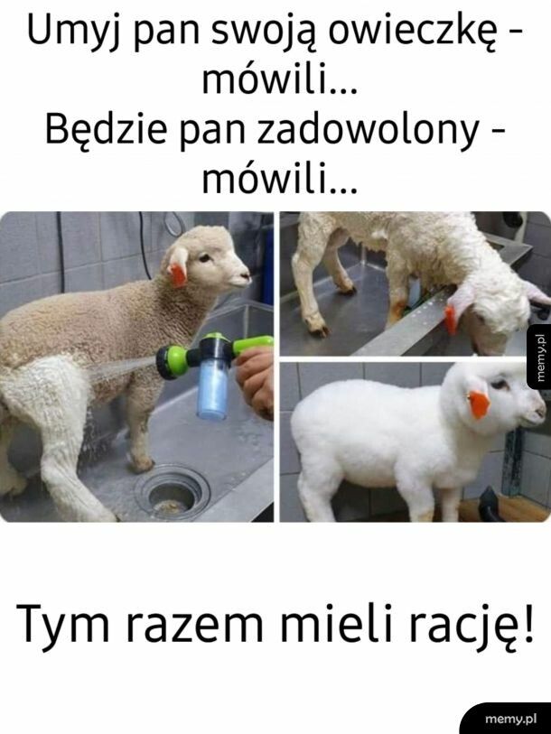 Jak z reklamy płynu do płukania tkanin...