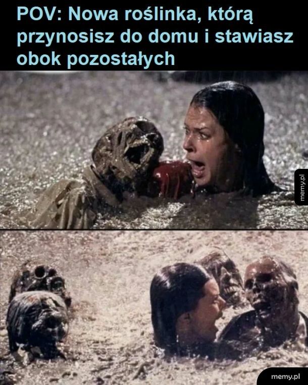 Choinka też tak skończy