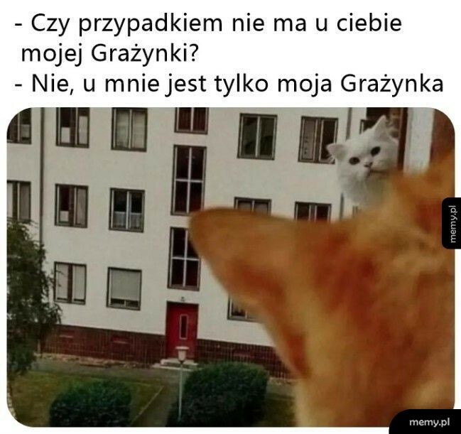 Grażynka