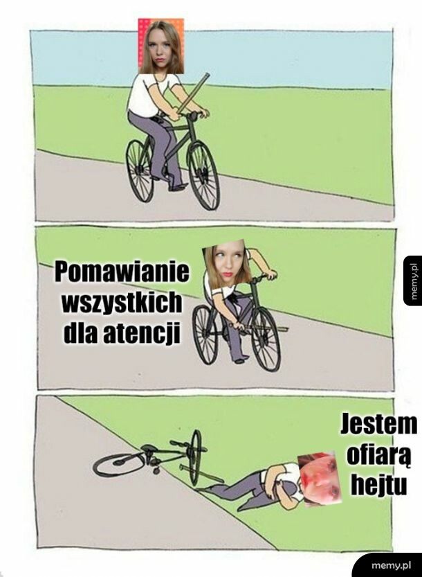 Cykl życia stasko