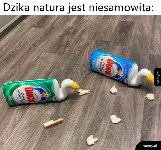 Dzika natura