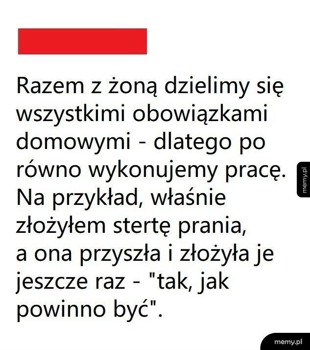 Obowiązki domowe