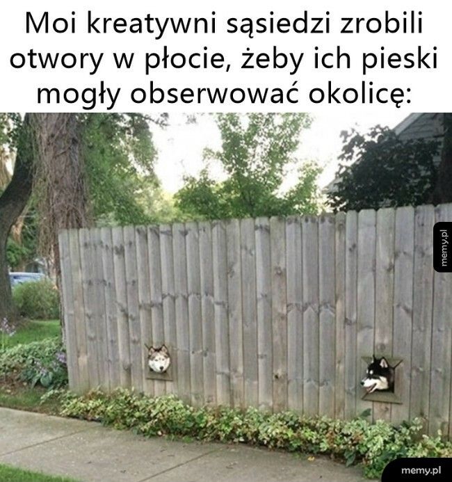 Kreatywni sąsiedzi