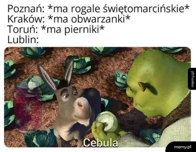 Lubelskie cebularze