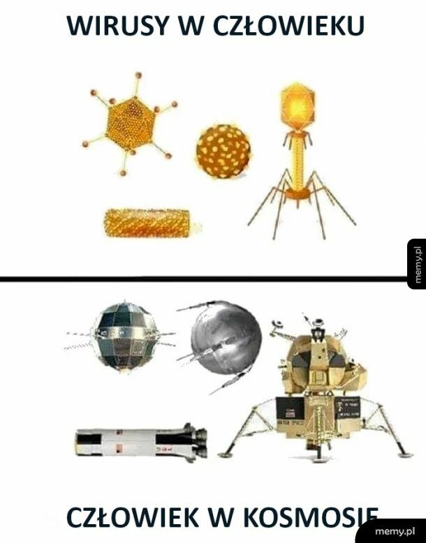 Wirusy w człowieku i człowiek w kosmosie