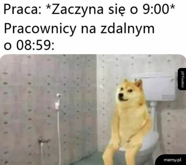 Praca na zdalnym