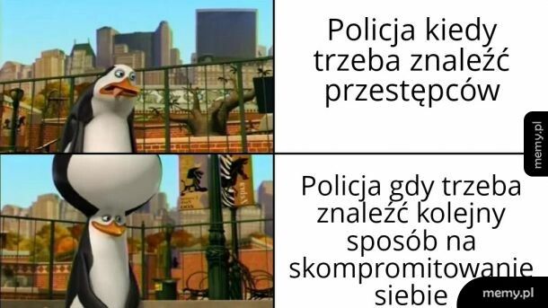 Policja