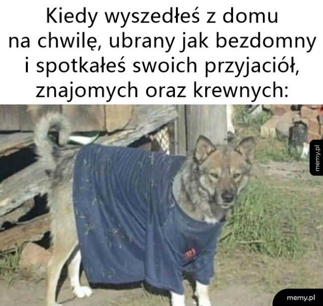 Jak na złość