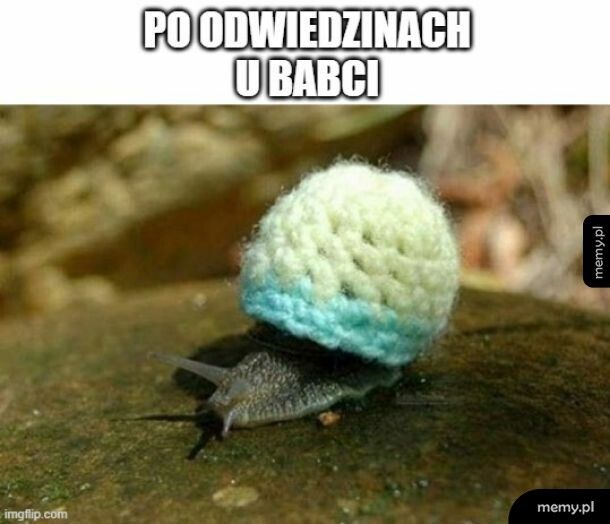 Dzisiaj Dzień Babci!