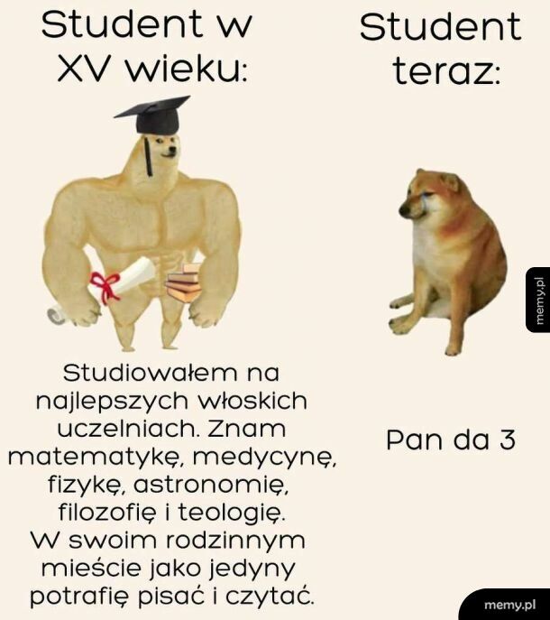 Studenci