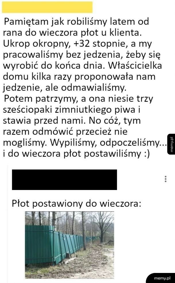 Płot