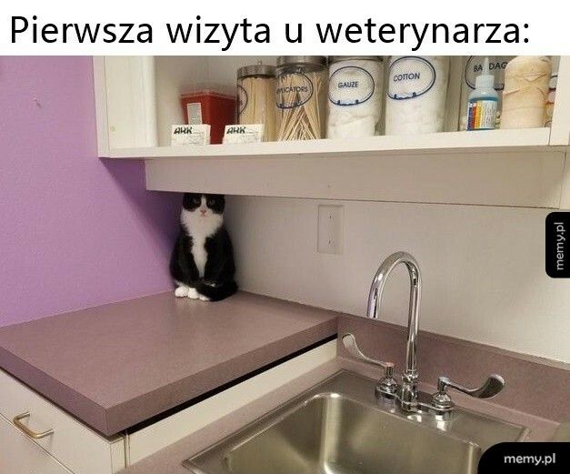 Pierwsza wizyta