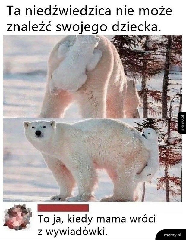 Tam się ukrył!