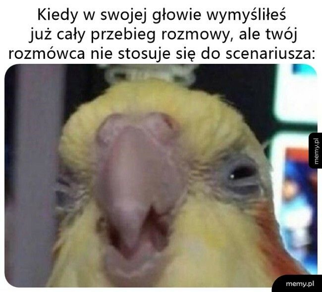 Wszystko nie tak