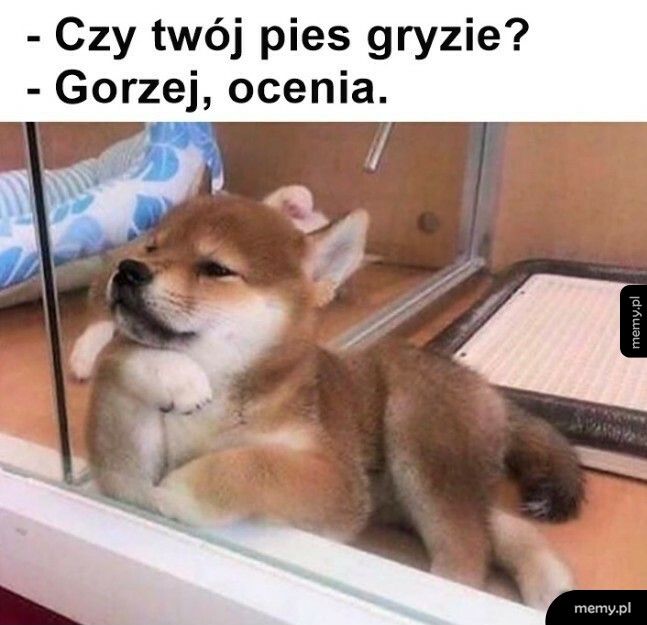 Jeszcze gorzej