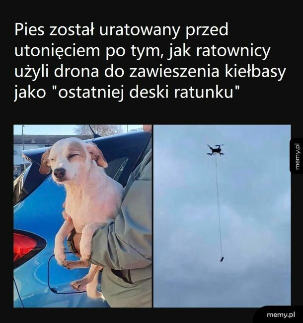 Przynęta