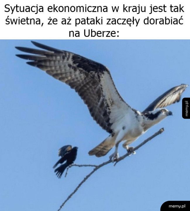 Sytuacja ekonomiczna