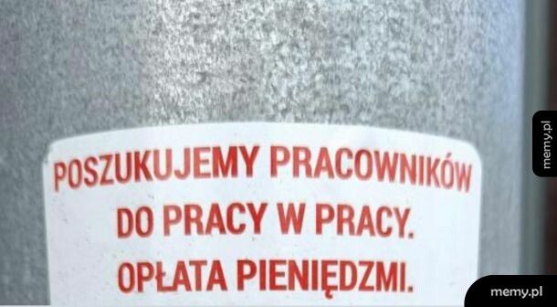 Szanuję