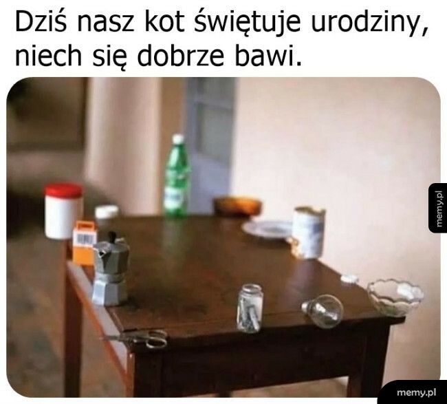 Niech się dobrze bawi