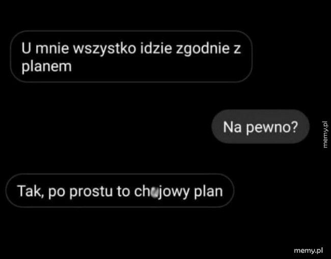 Wszystko zgodnie z planem