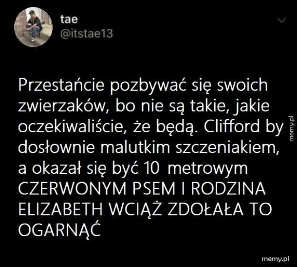 Trzeba brać skądś przykład